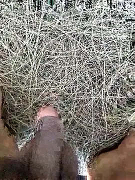 Snapshot of Gopal1243 chatting on February 19, 8:11 am Gopal1243 online show from February 19, 8:11 am