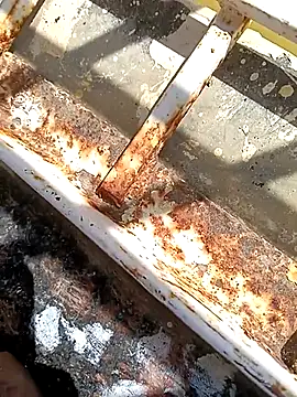 Snapshot of hOrnybOy_369 chatting on November 13, 8:07 am hOrnybOy 369 online show from November 13, 8:07 am