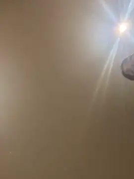 divavirtual11 online show from October 23, 6:56 am