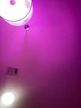 Snapshot of BigFineSelena chatting on September 14, 8:26 am BigFineSelena online show from September 14, 8:26 am