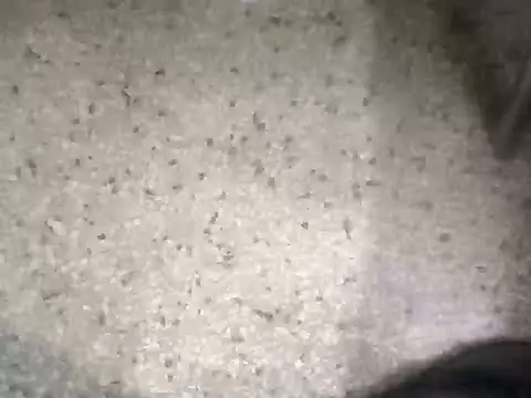 Rajibsorkar20 online show from February 10, 9:04 pm