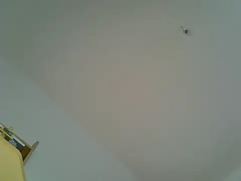 celibe du 25 online show from January 15, 10:07 am