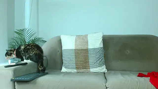 Robyn Miller online show from October 9, 1:00 pm