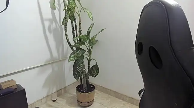Snapshot of madelaine_blosson chatting on March 1, 2:04 am madelaine blosson online show from March 1, 2:04 am