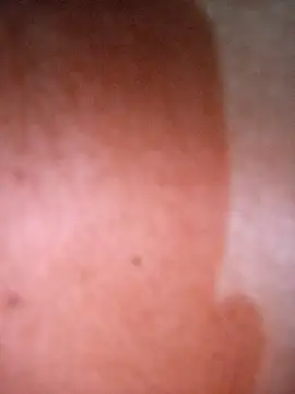 CASADASIGILO2 online show from February 20, 12:29 am