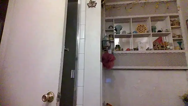 Snapshot of ClumsyLink chatting on October 26, 4:02 am ClumsyLink online show from October 26, 4:02 am