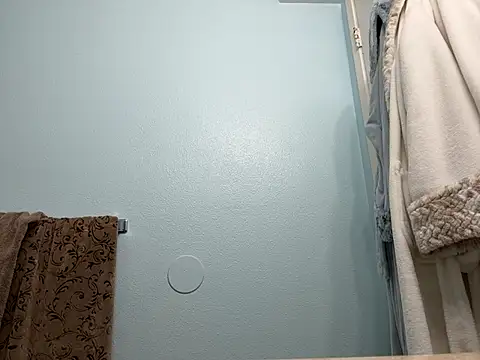 Snapshot of ClumsyLink chatting on January 17, 2:37 am ClumsyLink online show from January 17, 2:37 am