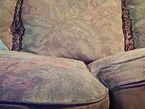 Snapshot of highstepper500 chatting on December 2, 7:54 am highstepper500 online show from December 2, 7:54 am