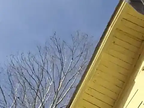 Snapshot of highstepper500 chatting on December 26, 5:15 am highstepper500 online show from December 26, 5:15 am