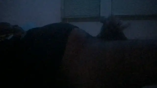 Freaky dickey online show from December 22, 3:01 pm