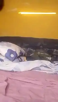 LULE37587001 online show from February 8, 3:59 am