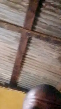 LULE37587001 online show from March 18, 10:32 pm