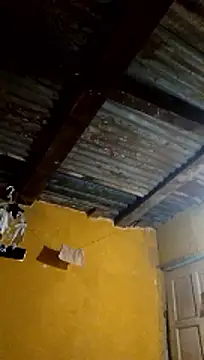 LULE37587001 online show from March 1, 10:10 pm