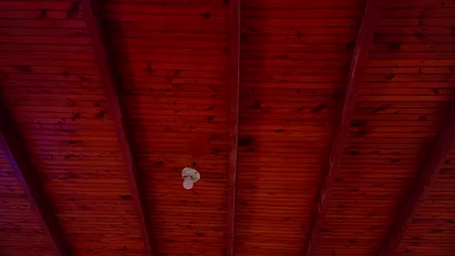 annie barozzi online show from October 18, 1:24 pm