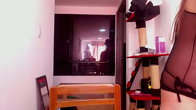 karinasodi 1 online show from December 3, 8:08 pm