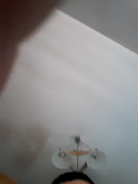 Pitbul889 online show from November 1, 6:46 pm