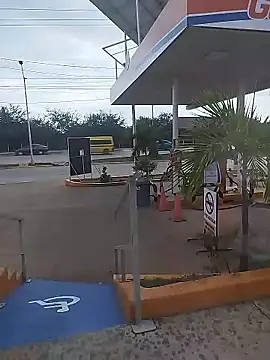 sagrado 1989 online show from January 12, 10:03 pm