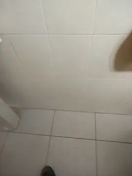 sagrado 1989 online show from February 16, 12:20 am