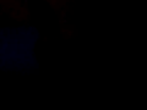 White rabbit  online show from February 9, 11:47 pm