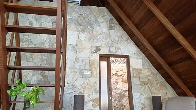 Cryptikov online show from April 5, 8:21 am