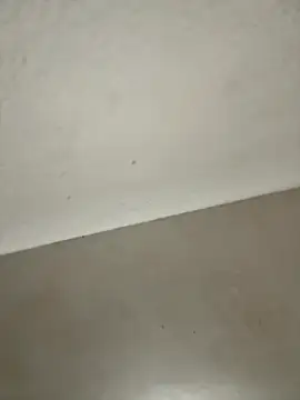 Snapshot of Ortegakim chatting on November 16, 5:28 pm Ortegakim online show from November 16, 5:28 pm