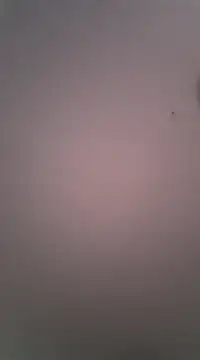 Maxmusterman20023 online show from January 18, 1:41 am