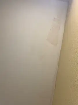 pinkangell online show from November 2, 7:41 pm