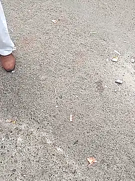 sum6255 online show from November 24, 10:15 am