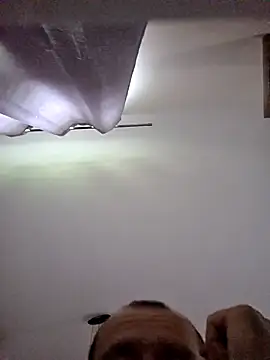 Snapshot of Roman0798 chatting on October 7, 7:53 am Roman0798 online show from October 7, 7:53 am