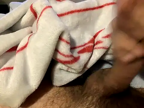 northcock87 online show from November 13, 2:04 am