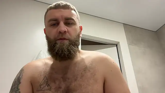 Bear bear  online show from November 7, 9:03 am