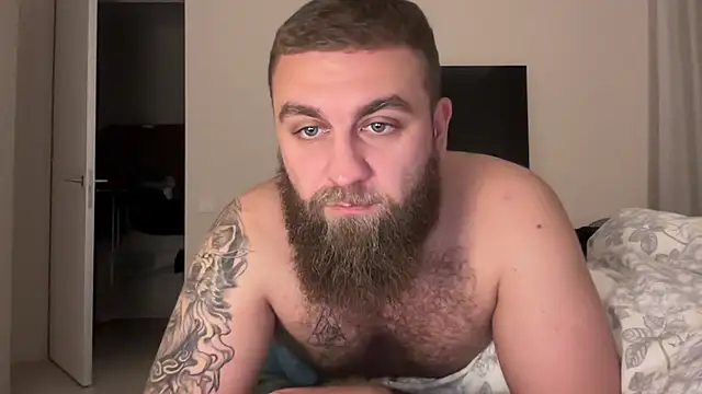 Bear bear  online show from November 18, 7:50 pm