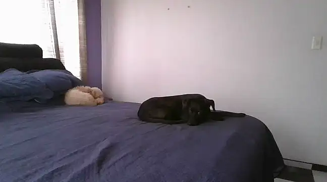 Snapshot of RAYA_1 chatting on February 12, 4:33 pm RAYA 1 online show from February 12, 4:33 pm