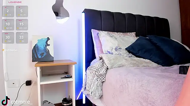 Snapshot of catimore chatting on February 28, 2:42 pm catimore online show from February 28, 2:42 pm