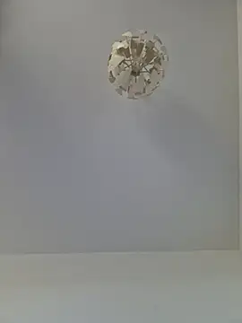 cuci45 online show from November 1, 10:31 am