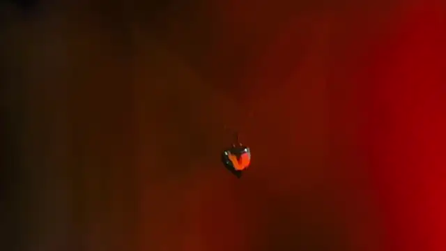 Youlittlepervertt  online show from March 1, 11:49 pm