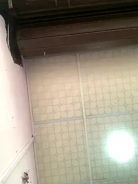 Snapshot of Hullax chatting on November 3, 1:55 am Hullax online show from November 3, 1:55 am