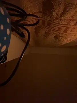 Snapshot of SexSanich chatting on November 6, 4:05 am SexSanich online show from November 6, 4:05 am