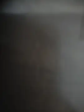 Nirvana-- online show from October 13, 1:40 am