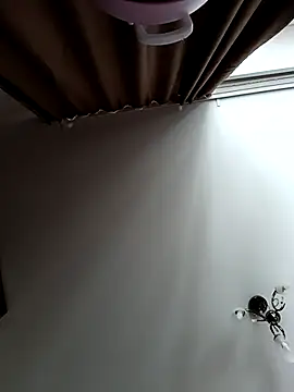 Lovers  Annn online show from March 9, 3:10 am