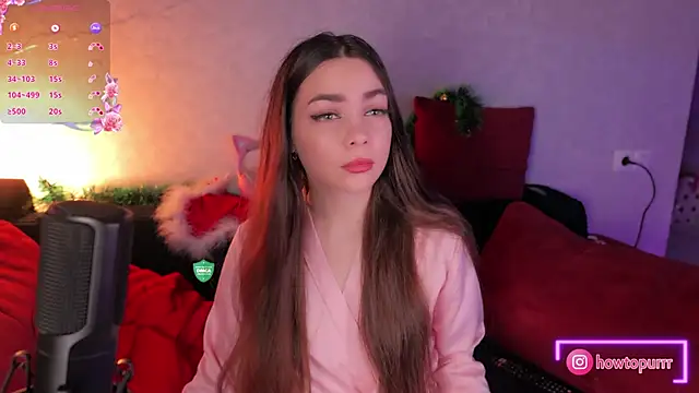 Snapshot of How2Meow chatting on January 2, 5:07 pm How2Meow online show from January 2, 5:07 pm