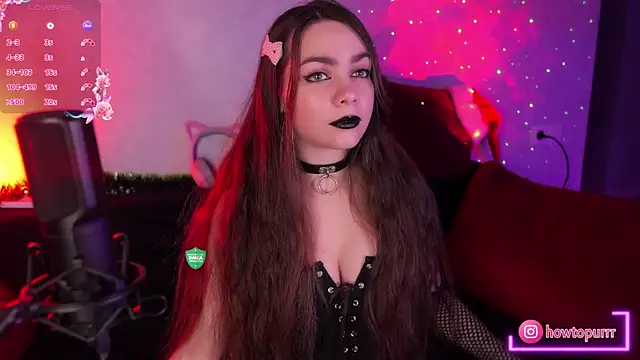 Snapshot of How2Meow chatting on January 22, 5:49 pm How2Meow online show from January 22, 5:49 pm