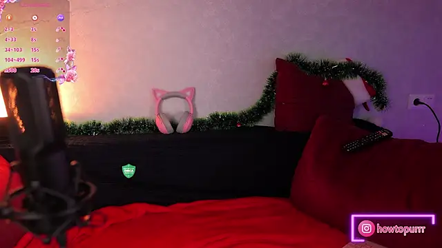 Snapshot of How2Meow chatting on January 12, 5:44 pm How2Meow online show from January 12, 5:44 pm