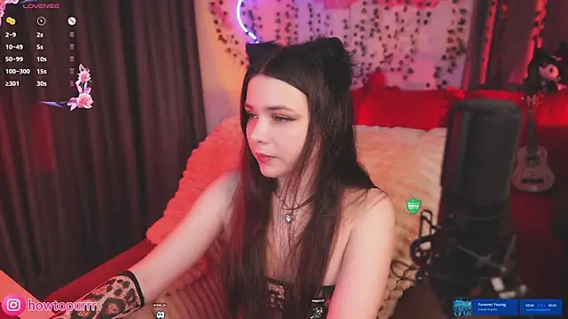 How2Meow online show from July 7, 5:27 pm