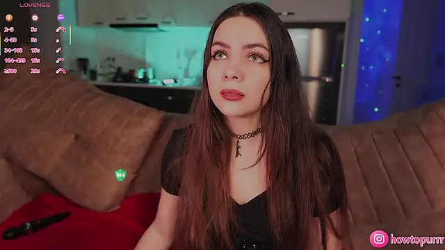 How2Meow online show from February 8, 5:43 pm