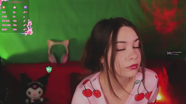 Snapshot of How2Meow chatting on September 21, 4:56 pm How2Meow online show from September 21, 4:56 pm