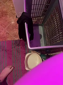 Snapshot of sissyboy-666- chatting on January 14, 5:11 am sissyboy-666- online show from January 14, 5:11 am