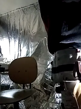 Snapshot of rexflexxx chatting on November 9, 11:47 am rexflexxx online show from November 9, 11:47 am