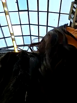 LeticiaWoods online show from November 27, 10:48 am