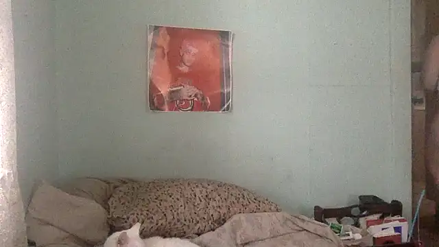 Snapshot of alexabunni chatting on November 17, 4:00 pm alexabunni online show from November 17, 4:00 pm